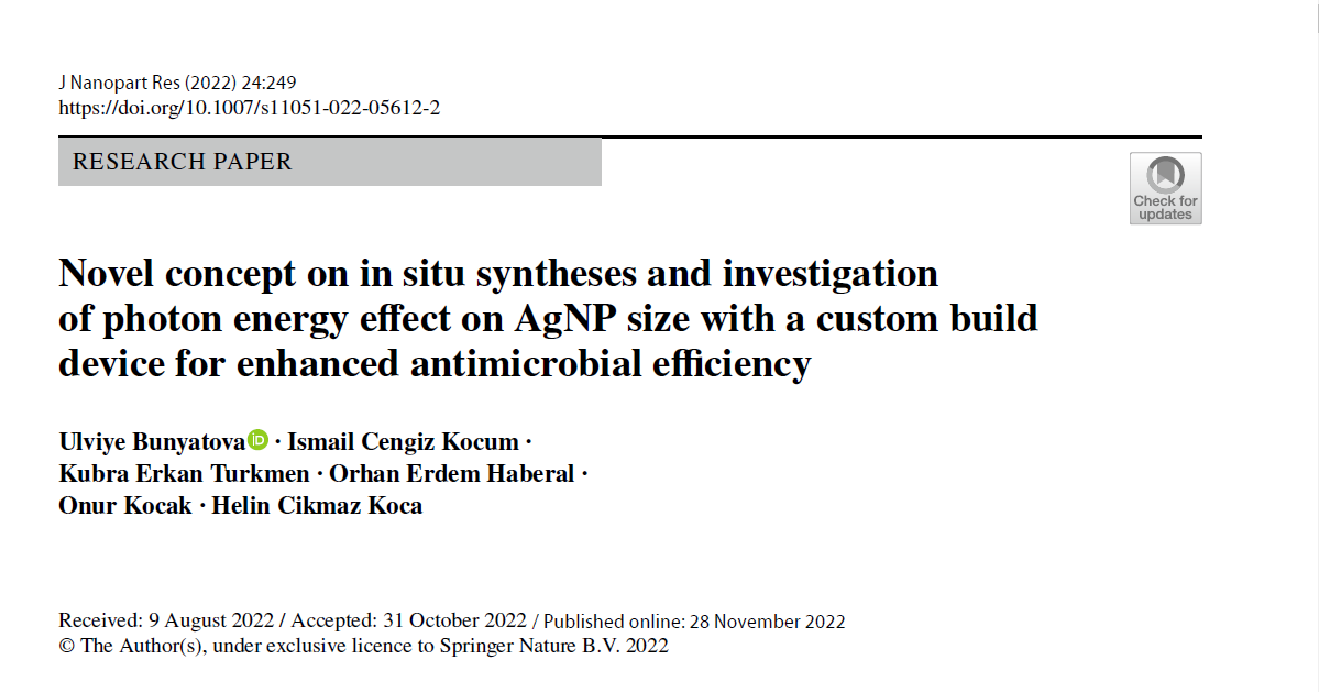 Publication Preview
